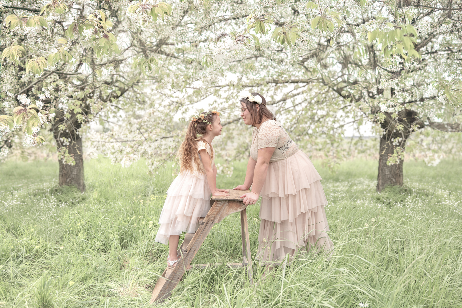 l'oeil de jo photographe macon solutré cluny bourg en bresse villefranche séance photo shooting cérisier artistique soeur nature doux (6) exp