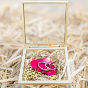 l'oeil de jo photographe solutré macon cluny belleville bourg en bresse mariage bohème champêtre laïque romantique vignes (10) exp