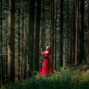 l'oeil de jo photographe solutré macon cluny belleville bourg en bresse séance photo shooting robe princesse féérique foret (2) exp