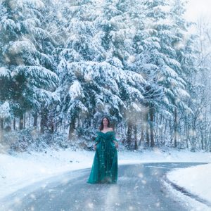 artistique saisonnier